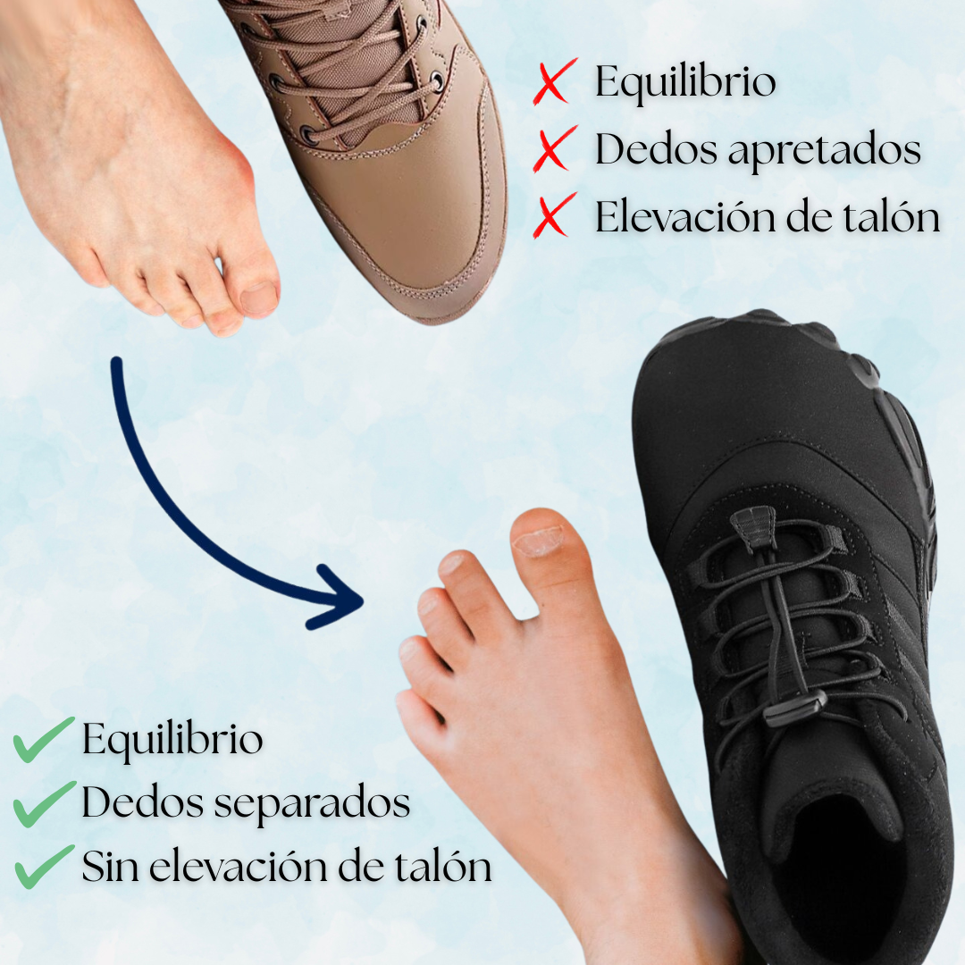 Innova Ártic